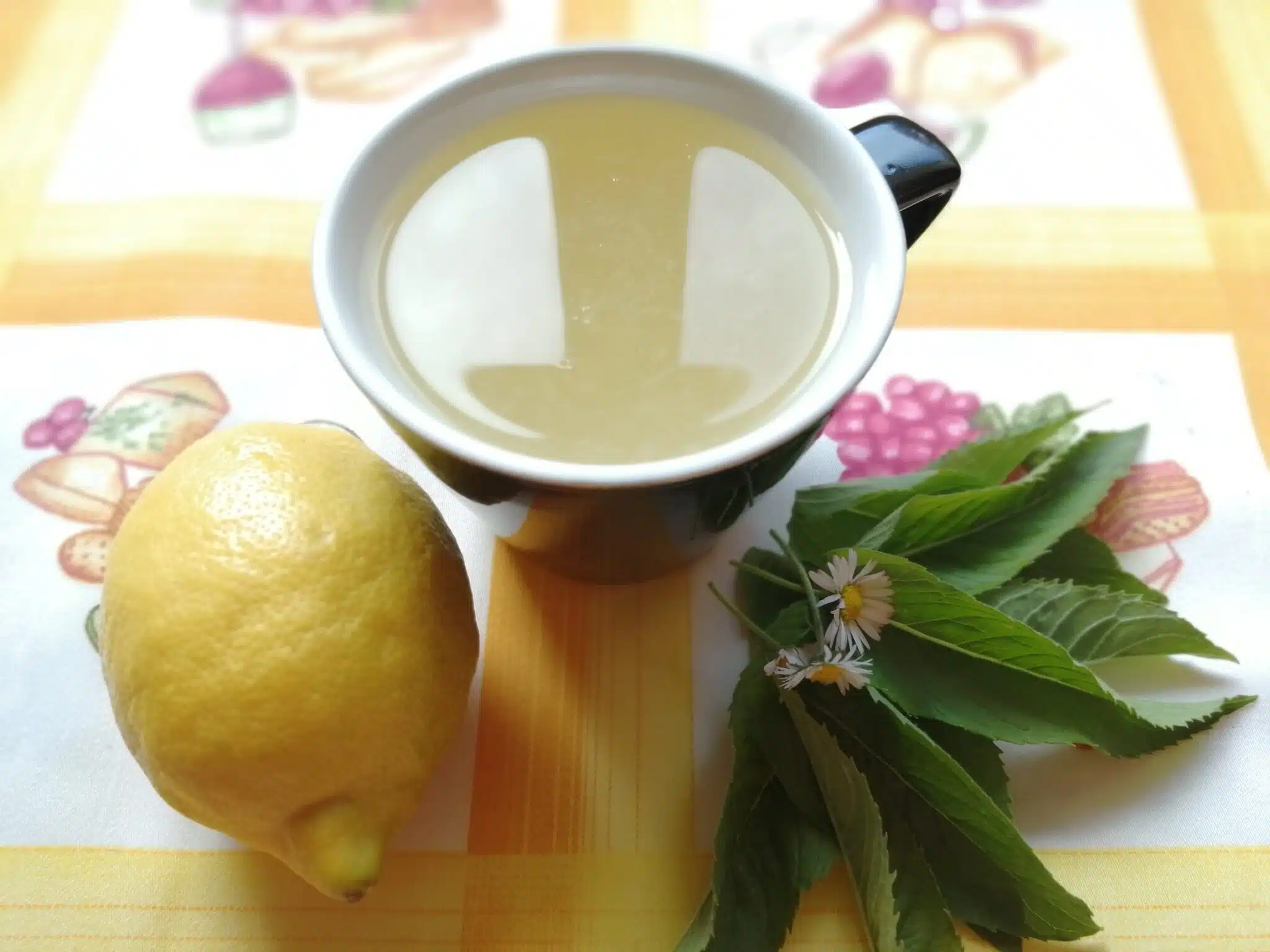 5 juomaa, joita jokaisen painonpudotusta tavoittelevan henkilön tulisi juoda