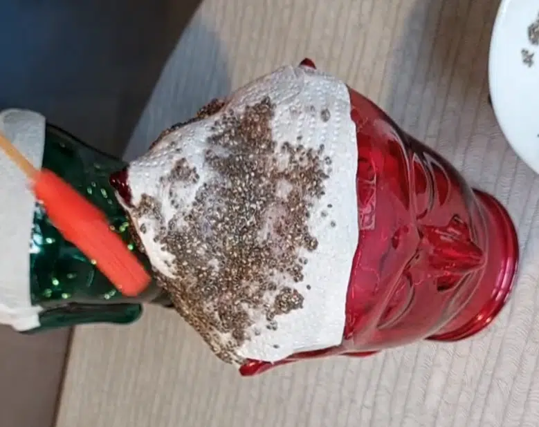 Laita vessapaperi lasiseen astiaan ja lisää chia-siemenet – upea koriste viikossa