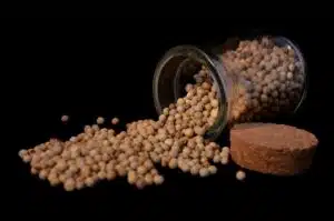 Äitini syö pienen määrän valkopippuria päivässä: 7 syytä miksi se kannattaa