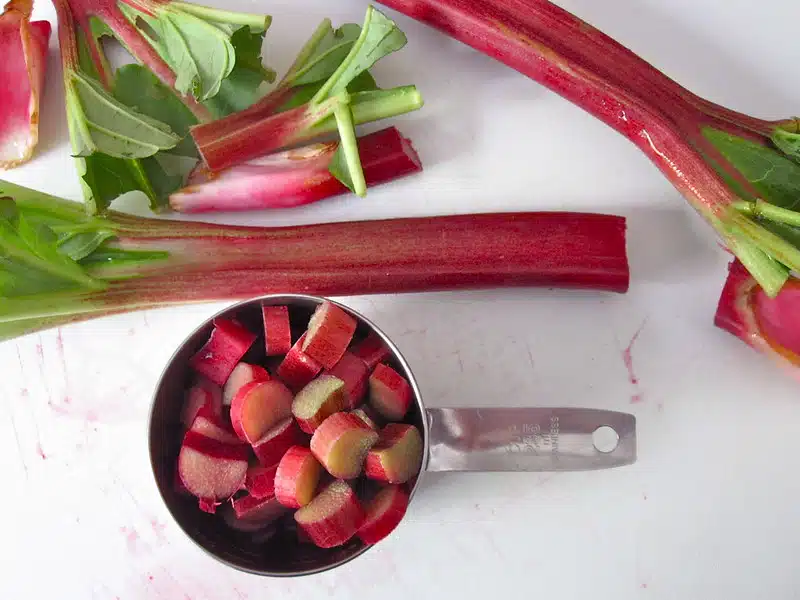 Kerää raparperi, kun sen varret ovat tämän pituisia – paras maku ja rakenne