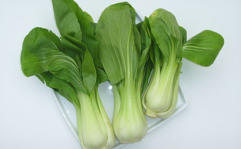 Lisää pak choi ruokavalioosi – herkullinen vihannes tarjoaa 8 upeaa terveysvaikutusta