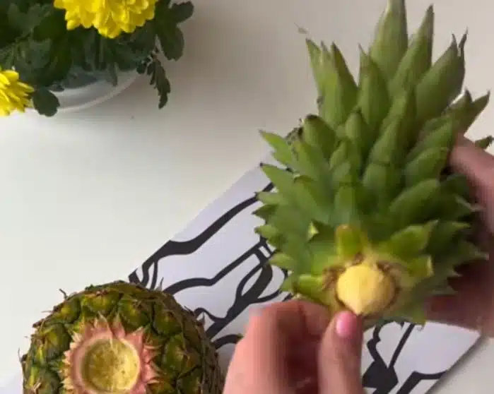 Ananaksen kruunua ei kannata heittää roskiin – näin saat siitä kauniin viherkasvin