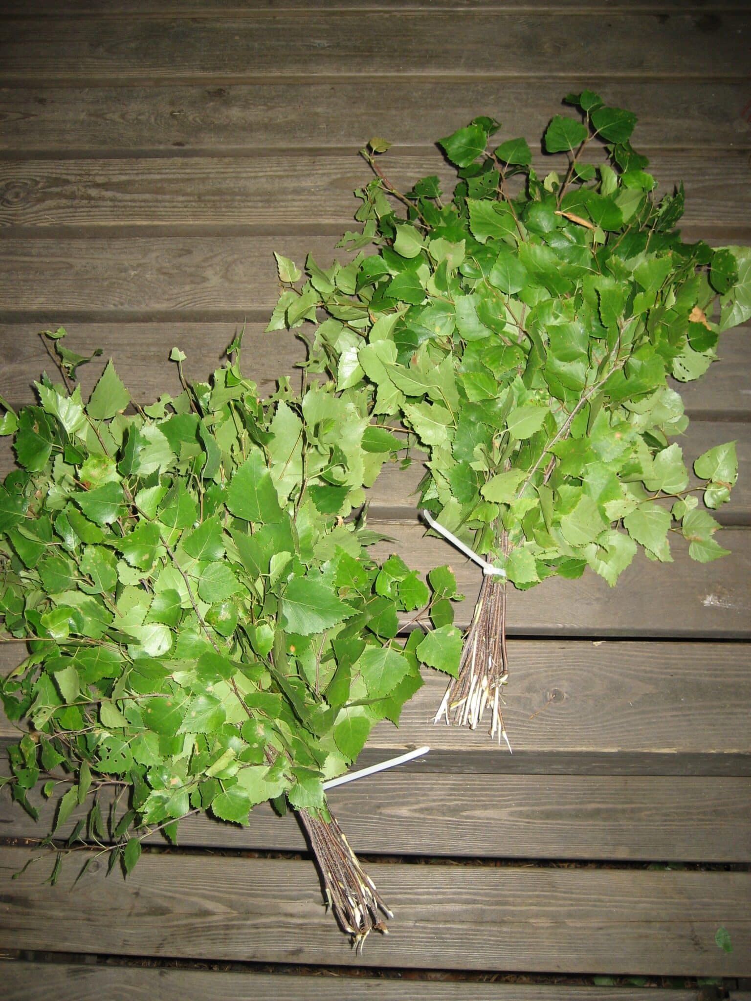 8 syytä, miksi jokaisen suomalaisen tulisi käyttää vihtaa saunassa tree branch plant leaf flower green 681607 pxhere.com scaled