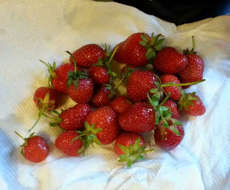 Pakastatko mansikoita? Lue tämä 6 vaiheen lista ennen kuin teet sen