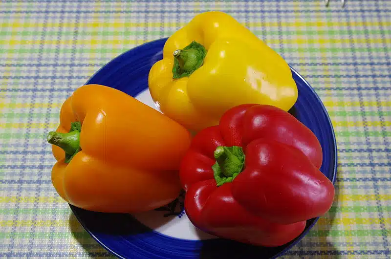 Tämä vihannes on nyt parhaimmillaan – hurja määrä C-vitamiinia yhdellä puraisulla