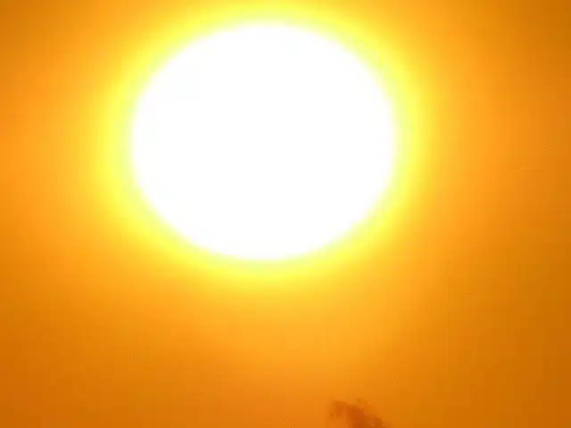 Tunnista hengenvaarallinen lämpöhalvaus ajoissa - tämä on yksi ensimmäisistä oireista Tunnista hengenvaarallinen lämpöhalvaus ajoissa – tämä on yksi ensimmäisistä oireista