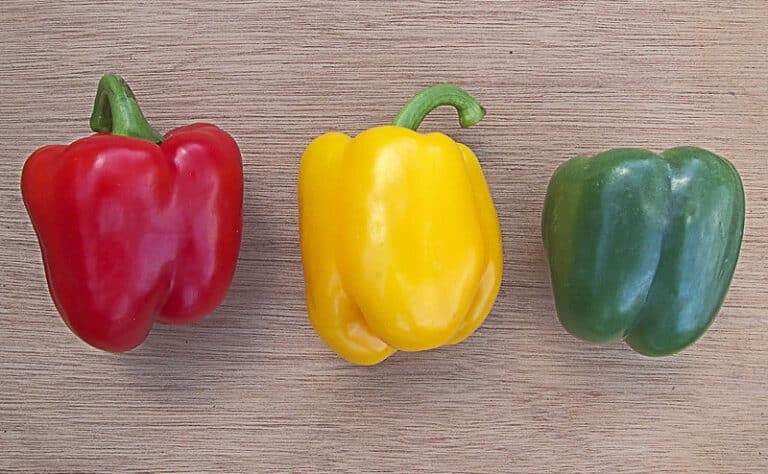 Syö puolikas paprika päivässä – tästä syystä se kannattaa