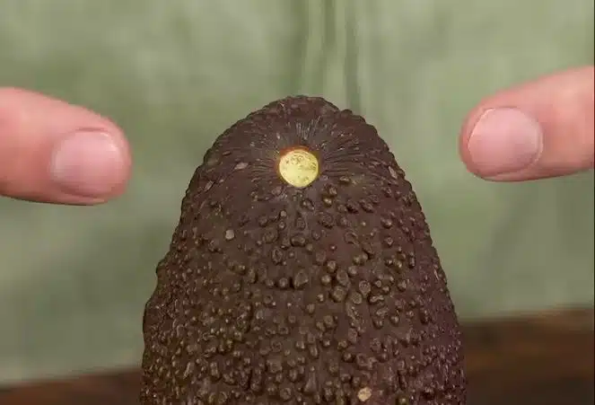 Näin halkaiset avokadon ilman veistä: Paina tästä kohdasta molemmilla käsillä