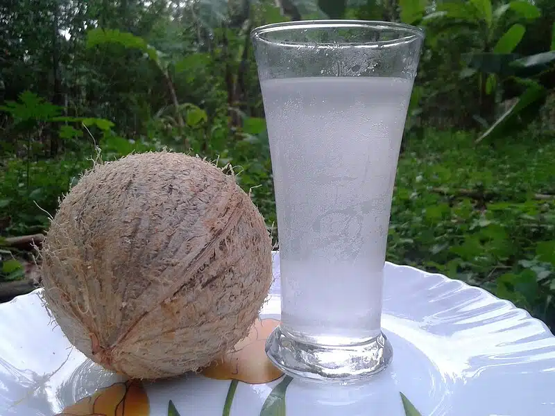 7 syytä aloittaa aamu juomalla kookosvettä – vältä jos kuulut tähän riskiryhmään