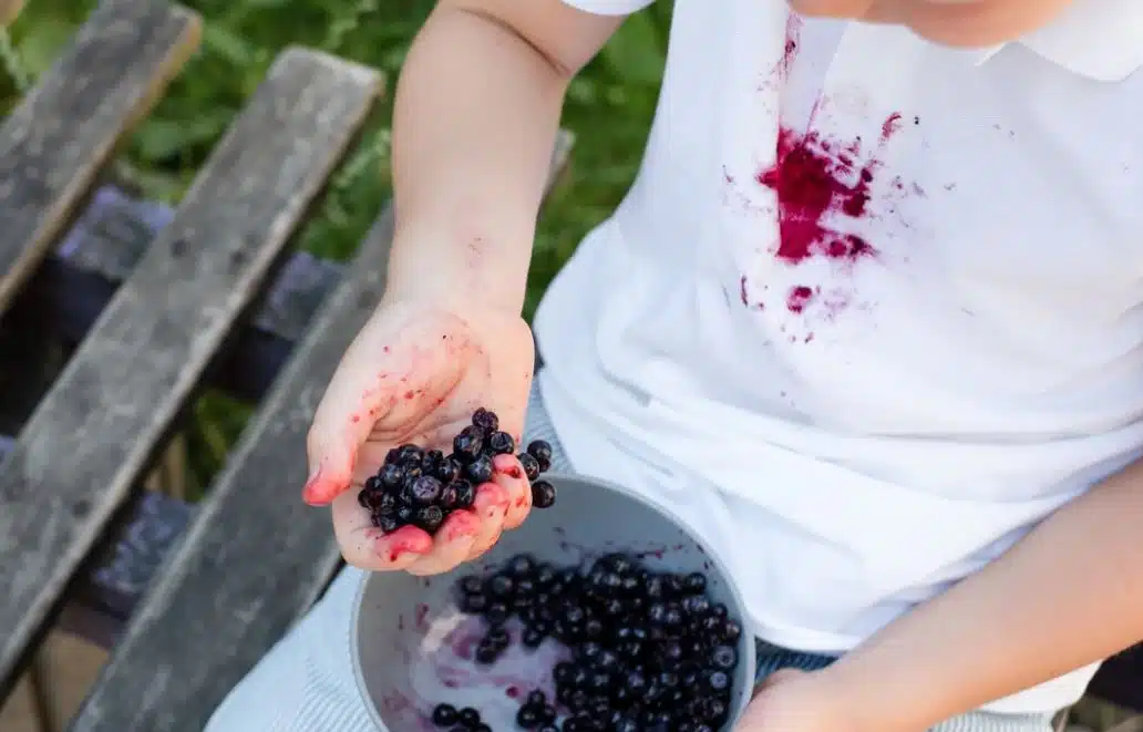 Tuliko paitaasi inhottava mustikkatahra? Tällä kikalla tahran pitäisi lähteä helposti