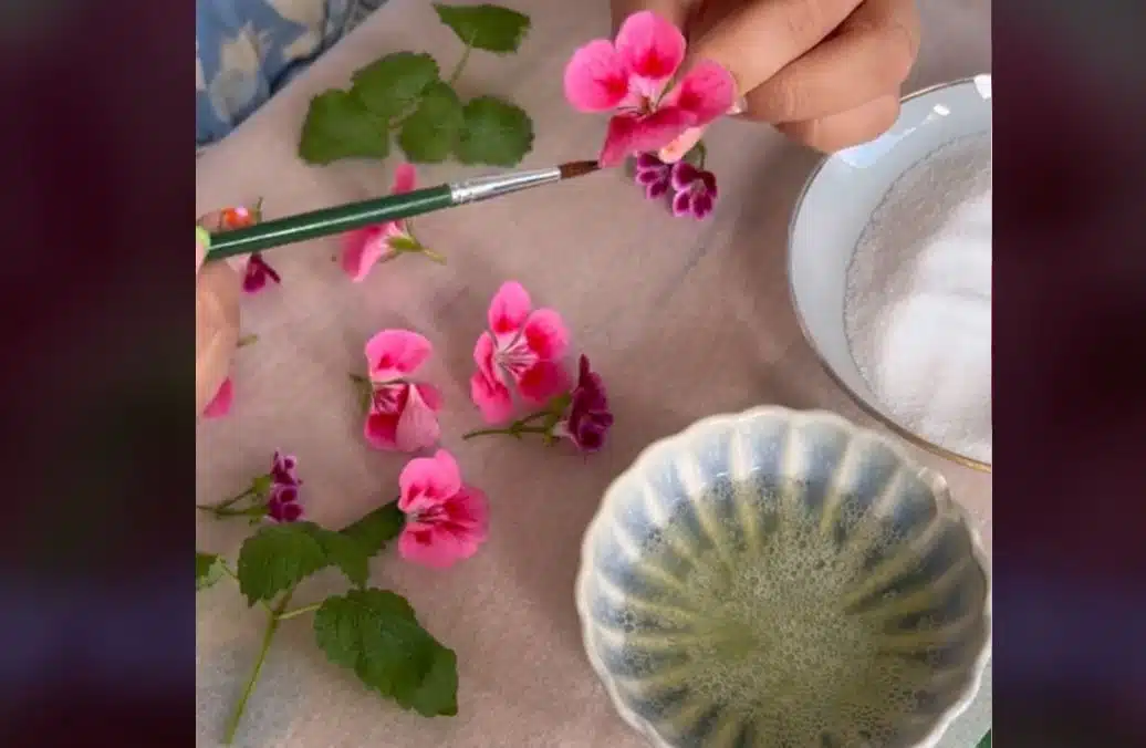 Nainen sivelee kukkien päälle valkuaista ja kastaa ne sokeriin - tässä on lopputulos Nainen sivelee kukkien päälle valkuaista ja kastaa ne sokeriin – tässä on lopputulos