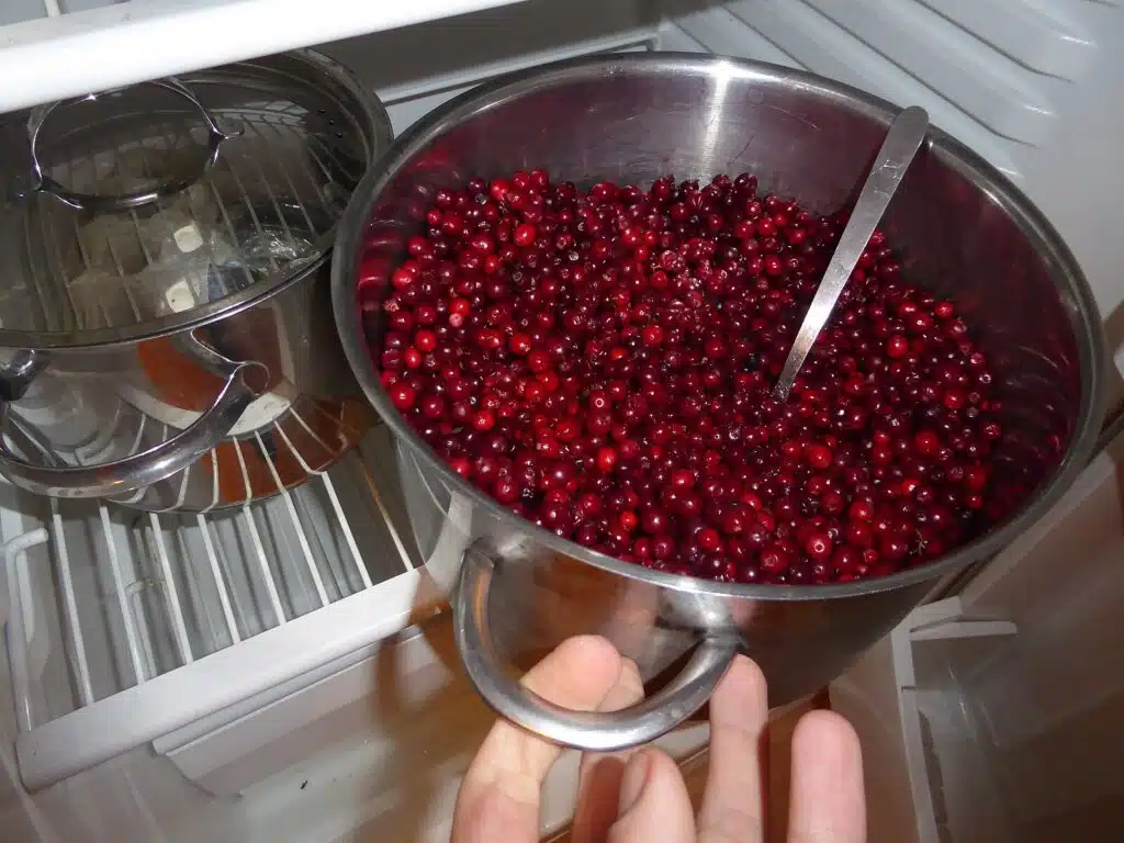 Tällä reseptillä saat lapsesi rakastamaan puolukoita: ”Meni koko kattilallinen”