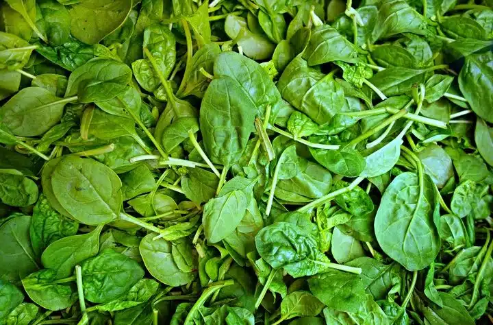 Superkasvis, joka ei sovi kaikille – voi edistää munuaiskivien muodostumista