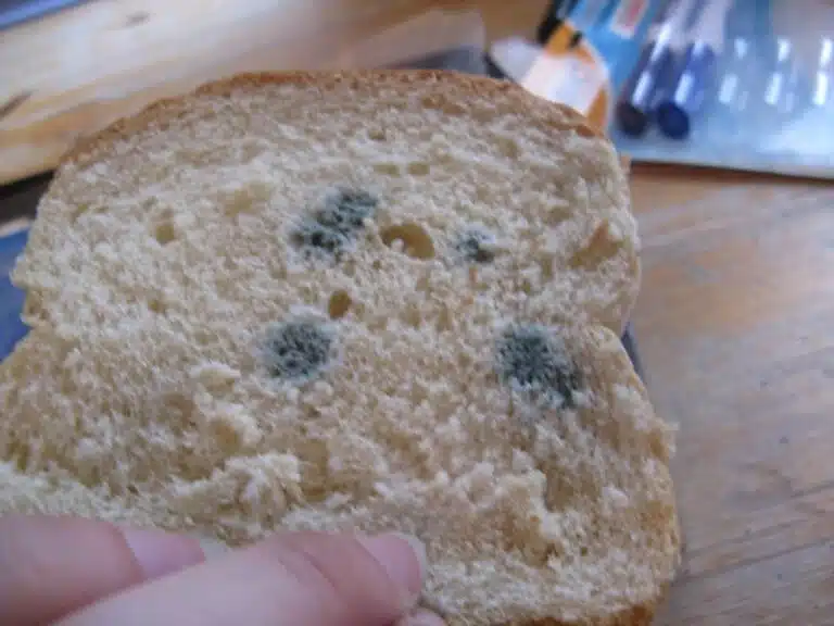 Ethän säilytä leipää näin? Saa sen homehtumaan ja kuivumaan