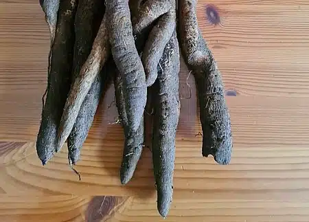 Osta tätä kotimaista sesonkiherkkua: "Voi parsan tapaan tarjota sellaisenaan" Osta tätä kotimaista sesonkiherkkua: ”Voi parsan tapaan tarjota sellaisenaan”