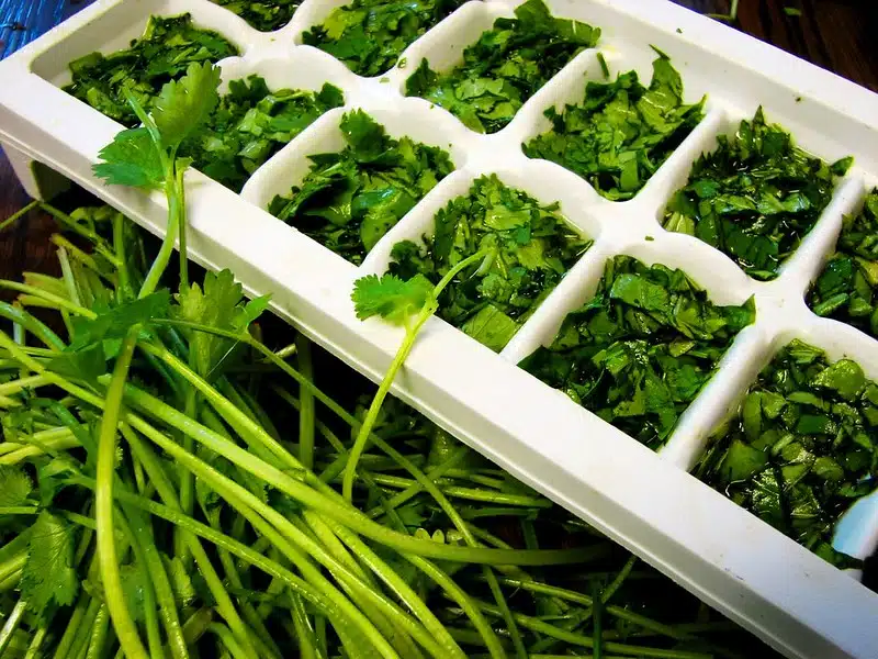 Ylijääneille yriteille kannatta aina tehdä tämä – säästät rahaa ja parannat ruokien makua