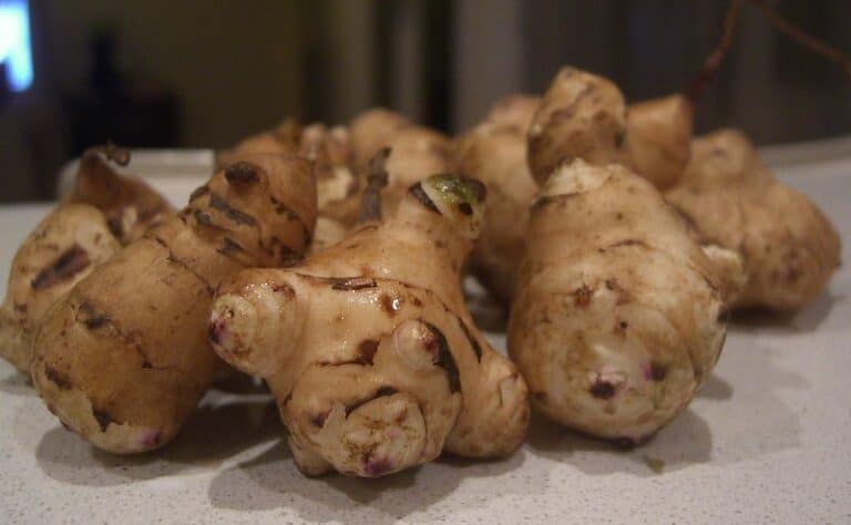 Simon joululaatikko haastaa perinteiset versiot – valmistuu ihanasta juureksesta Simon joululaatikko haastaa perinteiset versiot – valmistuu ihanasta juureksesta