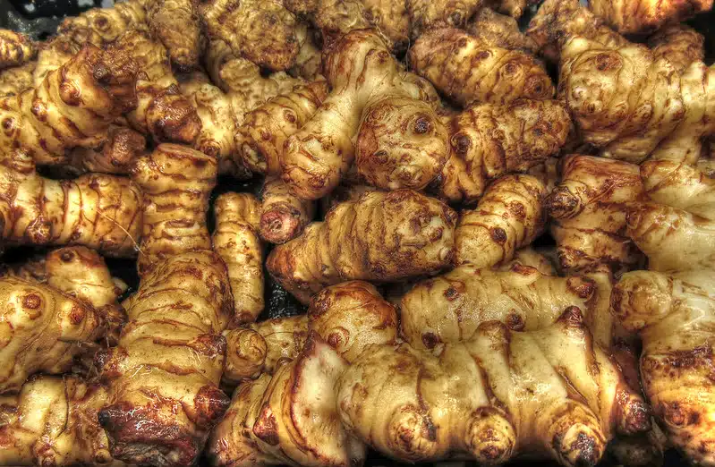 Näin maa-artisokista saa ihanan herkun – tarjoillaan valkosipulidipin kanssa