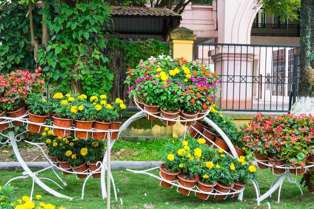 Tämän vuoksi kukkaruukun pohjalle kannattaa laittaa käpyjä - erinomainen kikka! garden flower landscaping nature landscapes 8c5e7f 1024
