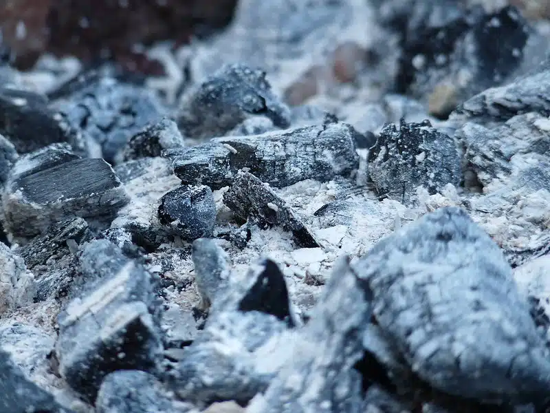 Älä heitä tuhkaa pois - näin se auttaa nurmikkoasi voimaan paremmin Älä heitä tuhkaa pois – näin se auttaa nurmikkoasi voimaan paremmin