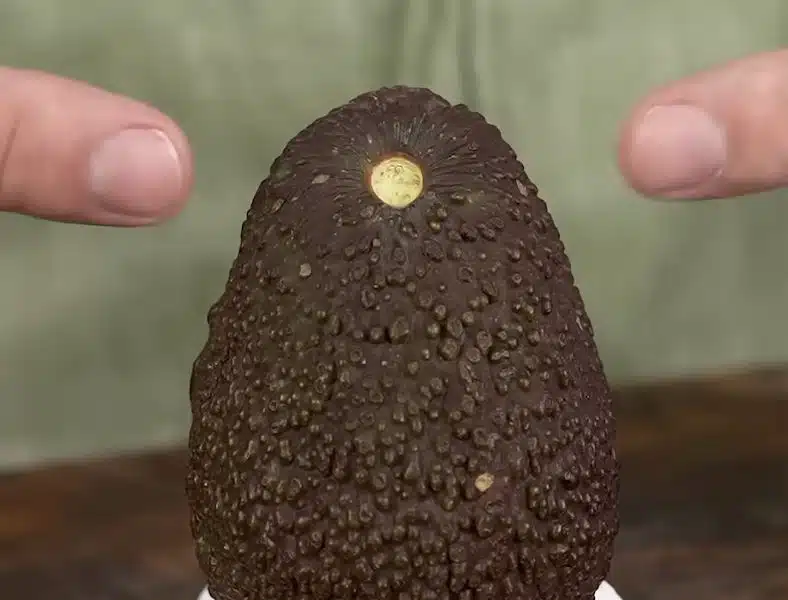 Avokadon voi avata näin helposti ilman veistä – paina vain kahdesta kohdasta