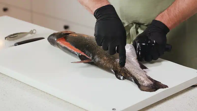 2 kohtaa, joita katsomalla tiedät onko kirjolohi tuore vai pilaantunut