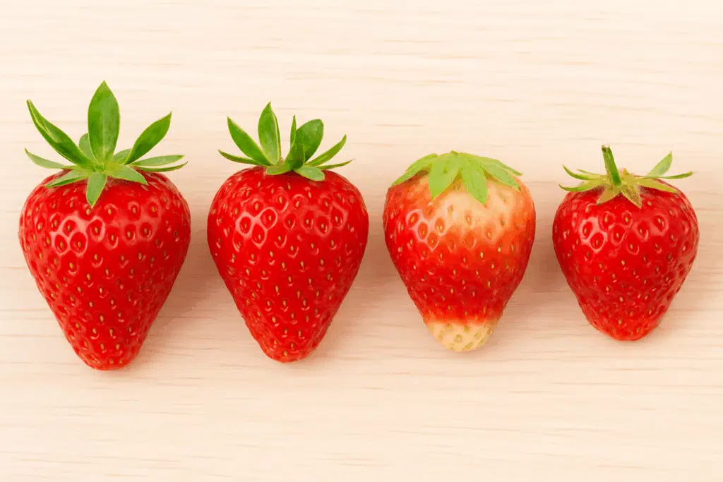 Superniksi: Näin näet jo päältäpäin, onko mansikka makea