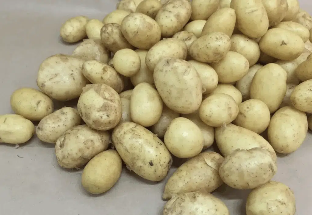 Yleinen moka, jota ei koskaan tulisi tehdä perunalle: ”Aivan turhaa ajanhukkaa”