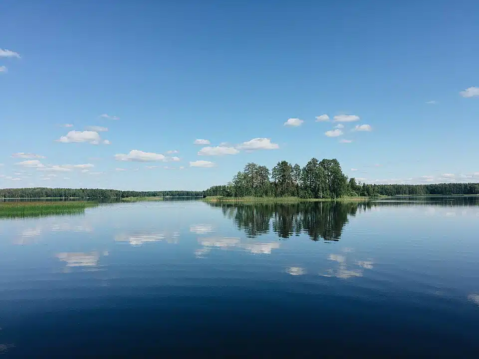 Saitko ongella upean näköisen kalan? Sen päästäminen luontoon on rikos