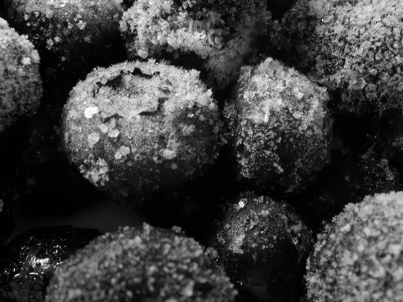 Pakastatko mustikoita? Lue 4 vaiheen lista ennen kuin teet sen