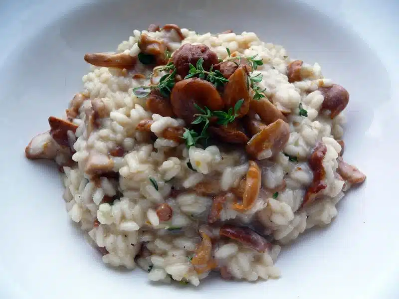 Superherkullinen kantarelliruoka: ”Pitää tehdä ainakin kerran kesässä”