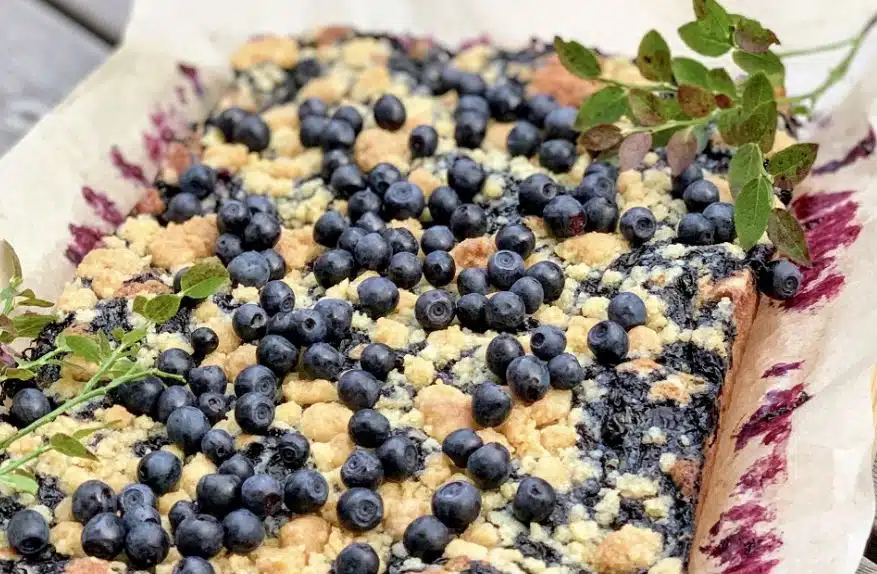 Risto Mikkolan helppo ja herkullinen mustikkapiirakka – taikinassa piilee juju