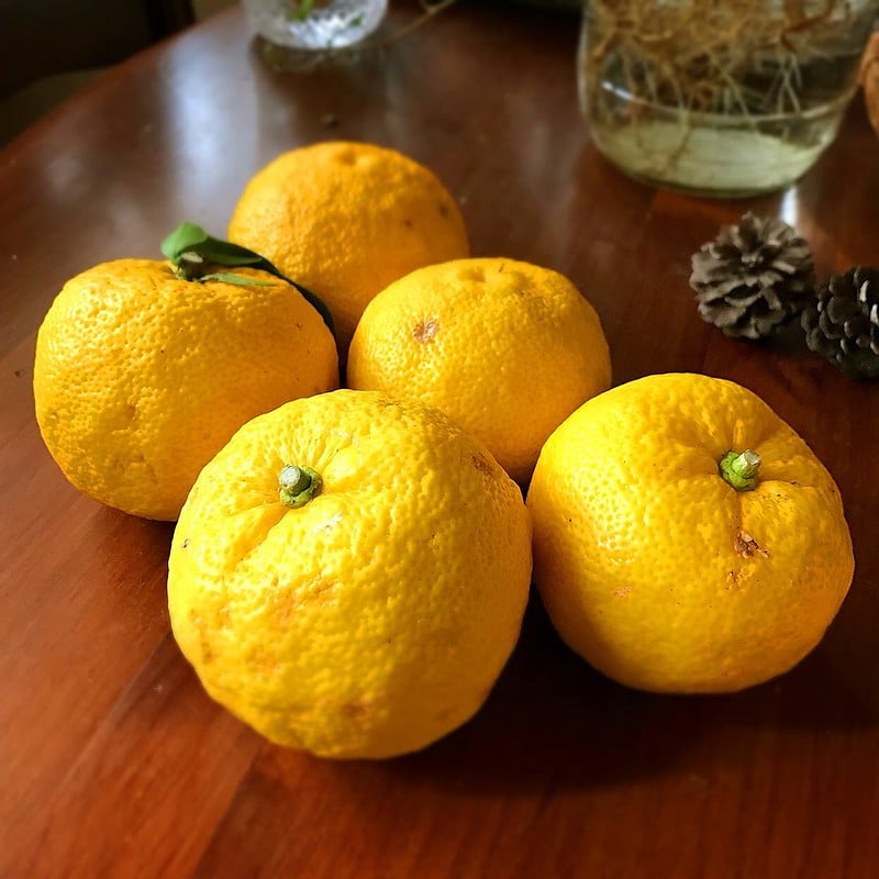 49868309208 de0c89fb65 c