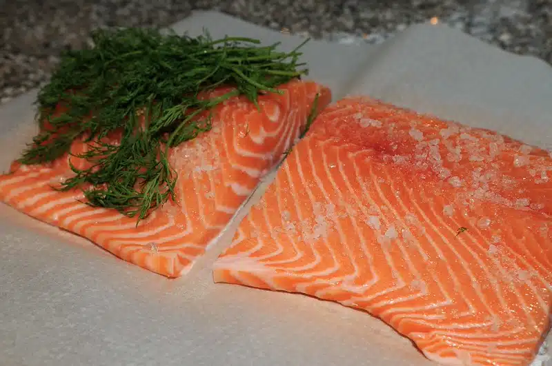 Harri Syrjäsen graavilohen salaisuus piilee ajassa – ”paras graavi minkä oot ikinä tehnyt”