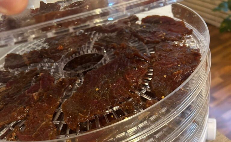 100 euroa kilolta - tätä herkkua voi valmistaa helposti kotona marjakuivurin avulla 100 euroa kilolta – tätä herkkua voi valmistaa helposti kotona marjakuivurin avulla