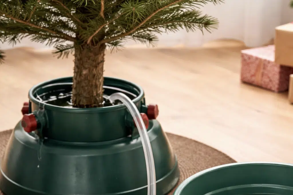 Paavon nerokas kastelumenetelmä – kuusi ei kuivu koskaan