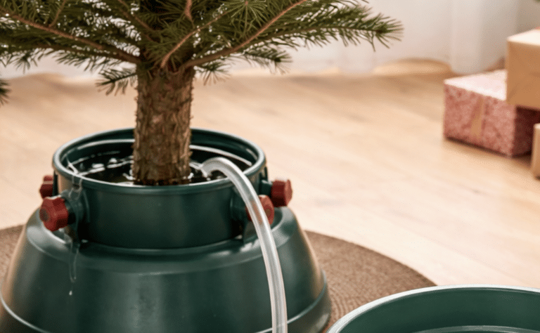 Paavon nerokas kastelumenetelmä – kuusi ei kuivu koskaan