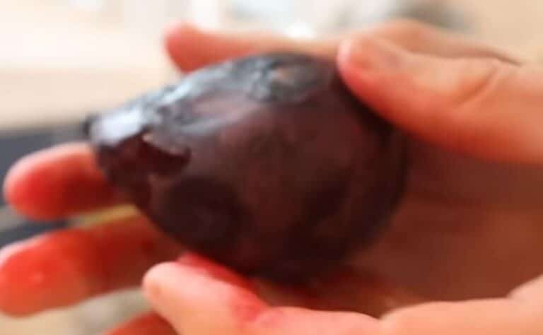 Punajuuren kuoriminen aiheuttaa monille tuskaa – simppeli sormikikka auttaa