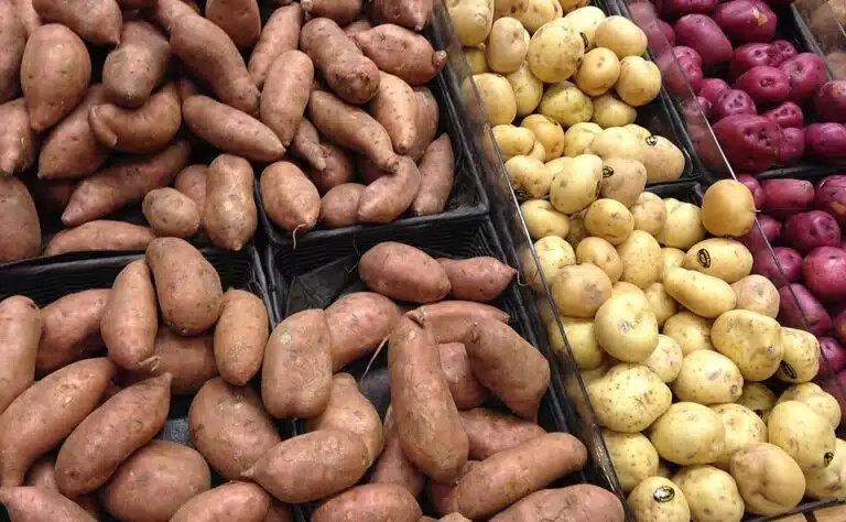 Tämän värinen peruna on kaikista terveellisin – tämän väristä ei saa syödä