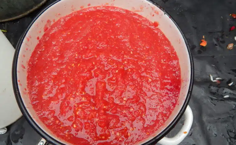 Näin helposti korvaat tomaattipyreen – olisipa joku kertonut tämän aiemmin