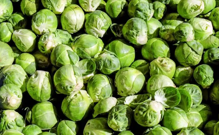 Ruusukaalit eivät koskaan olleet suosikkini - kaikki muuttui tämän reseptin myötä Ruusukaalit eivät koskaan olleet suosikkini – kaikki muuttui tämän reseptin myötä