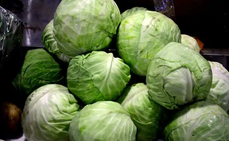 Vain muutaman euron vuoka: näin kaali muuttuu täyteläiseksi uuniherkuksi Vain muutaman euron vuoka: näin kaali muuttuu täyteläiseksi uuniherkuksi