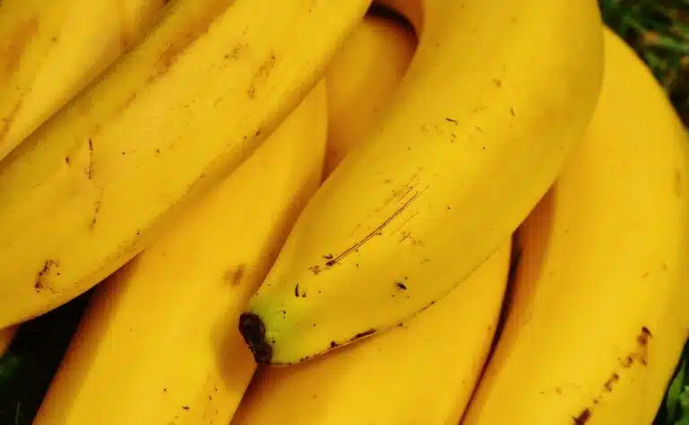 Onko banaanissa tällainen jälki? Edes kauppa ei suosittele ostamaan