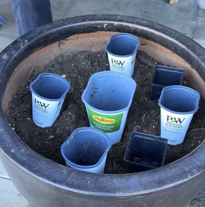 Nerokas istutusniksi leviää somessa – moni toivoisi nähneensä tämän aiemmin Istutus