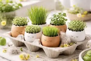 Viskaatko kananmunankuoren roskiin? Tämän vuoksi se on suuri virhe Viskaatko kananmunankuoren roskiin? Tämän vuoksi se on suuri virhe