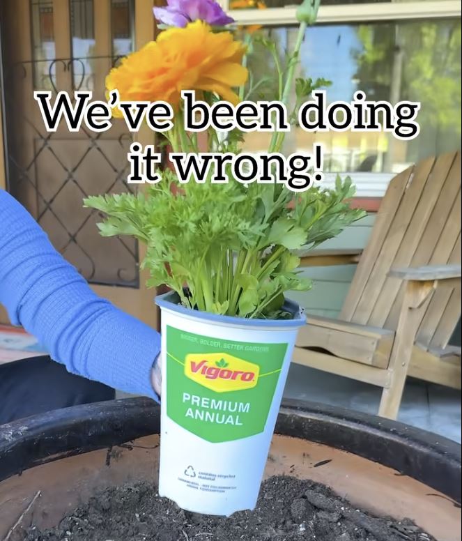 Nerokas istutusniksi leviää somessa – moni toivoisi nähneensä tämän aiemmin Kasvien istutus