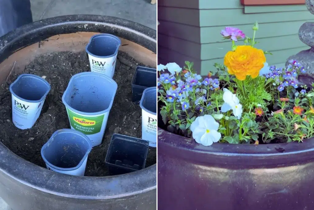 Nerokas istutusniksi leviää somessa – moni toivoisi nähneensä tämän aiemmin Nerokas istutusniksi leviää somessa – moni toivoisi nähneensä tämän aiemmin