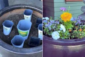 Nerokas istutusniksi leviää somessa – moni toivoisi nähneensä tämän aiemmin Nerokas istutusniksi leviää somessa – moni toivoisi nähneensä tämän aiemmin