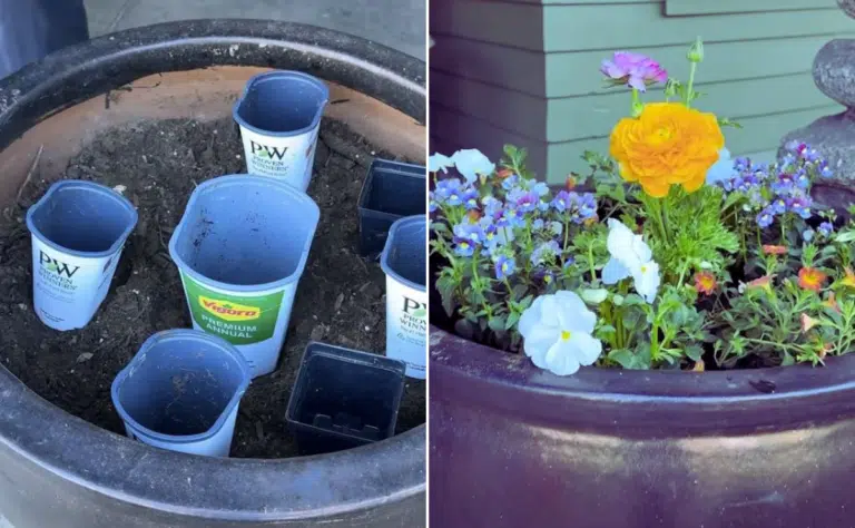 Nerokas istutusniksi leviää somessa – moni toivoisi nähneensä tämän aiemmin