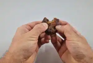 Minun oli pakko ostaa taateleita kotiin – syypäänä tämä video